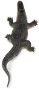 Safari Ltd. 113389 - Alligator