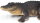 Safari Ltd. 113389 - Alligator