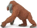 Safari Ltd. 292929 - Male Orangutan