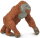 Safari Ltd. 292929 - Male Orangutan