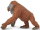 Safari Ltd. 292929 - Male Orangutan