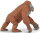 Safari Ltd. 292929 - Male Orangutan