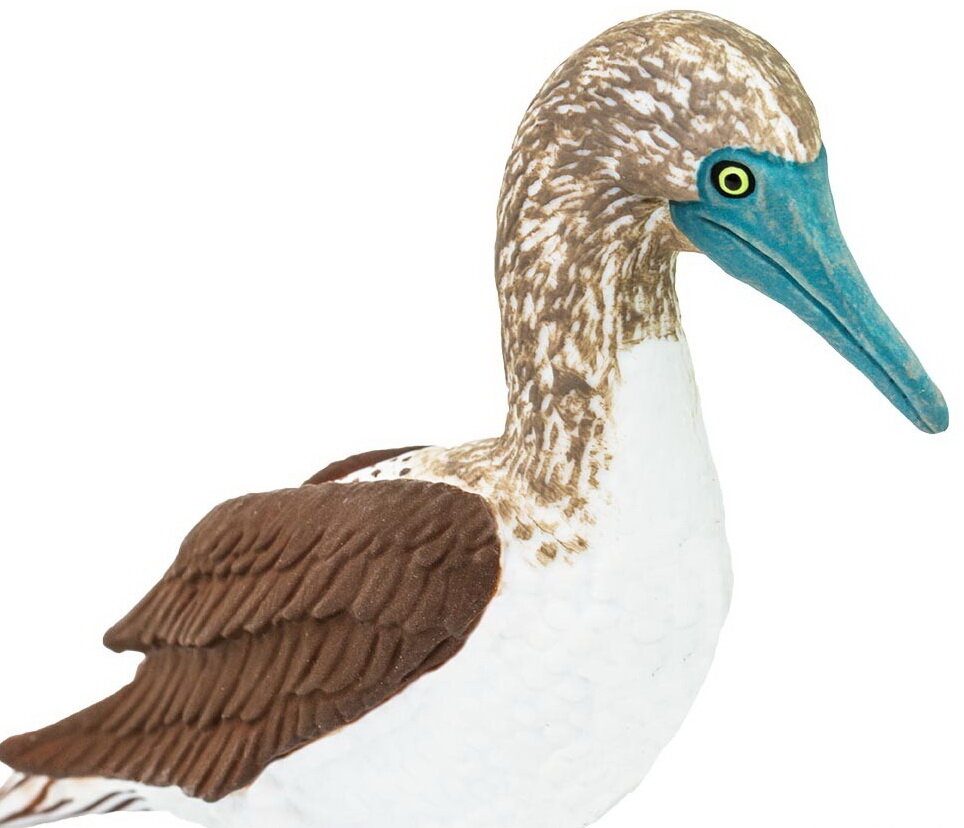 Safari Ltd Blue Footed Booby Replica Figure Toy 150529 for sale online