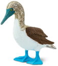 Safari Ltd. Wings Of The World 150529 - Blue Footed Booby