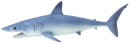 Safari Ltd. 201929 - Mako Shark
