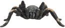 Mojö 387213 - Red Kneed Tarantula