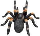 Mojö 387213 - Red Kneed Tarantula