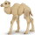 Papo 50221 - Camel Calf