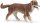 Papo 54038 - Australian Shepherd