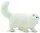 Safari Ltd. 100203 - Perserkatze