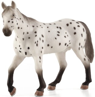 Mojö 387108 - Leopard Appaloosa Stallion