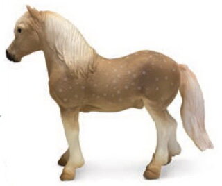 Mojö 387282 - Welsh Pony