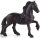 Mojö 387281 - Friesian Mare