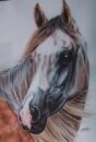 Horse Postcard  Arabian