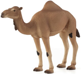 Mojö 387113 - Arabian Camel