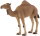 Mojö 387113 - Arabian Camel