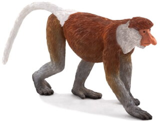 Mojö 387176 - Proboscis Monkey