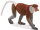 Mojö 387176 - Proboscis Monkey