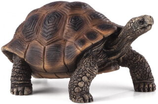 Mojö 387259 - Riesenschildkröte