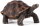 Mojö 387259 - Riesenschildkröte