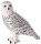 Mojö 387201 - Snowy Owl