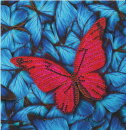 Craft Buddy CCK-A41 - Crystal Card Kit Butterfly