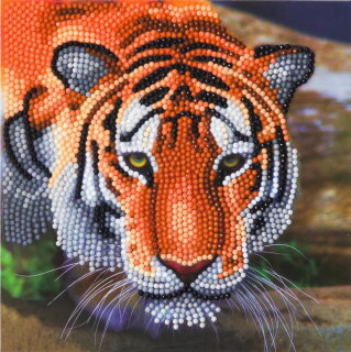 Craft Buddy CCK-A40 - Crystal Card Kit Tiger