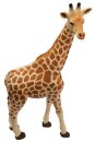 Animals of Australia 75902 - Giraffe