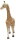 Animals of Australia 75902 - Giraffe