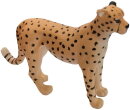 Animals of Australia 75904 - Gepard