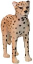 Animals of Australia 75904 - Gepard