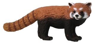Animals of Australia 75905 - Red Panda
