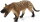 Mojö 387157 - Hyaenodon Gigas
