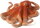 Mojö 387275 - Octopus