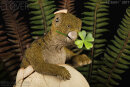 REBOR 160291 - Club Selection: Clover the Hatchling Stegosaurus *1