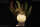 REBOR 160291 - Club Selection: Clover the Hatchling Stegosaurus *1