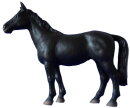 M+B 30003 - Andalusier Pferd