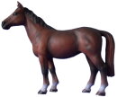 M+B 30004 - Arabian Horse