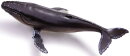 Recur RC16098S - Humpback Whale (Megaptera novaeangliae)