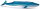 Recur RC16095S - Blue Whale (Balaenoptera musculus)