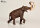 EoFauna 001 - Mammoth of the Steppe (Mammuthus trogontherii)