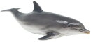Recur R8140S - Delfin