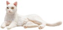 Mojö 387368 - Cat Lying White