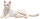 Mojö 387368 - Cat Lying White