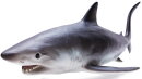 Recur RC16090S - Shortfin Mako Shark (Isurus oxyrinchus)