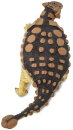 Safari Ltd. 306129 - Ankylosaurus