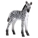 Mojö 387394 - Zebra Foal