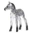 Mojö 387394 - Zebra Foal