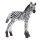 Mojö 387394 - Zebra Foal