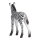 Mojö 387394 - Zebra Foal